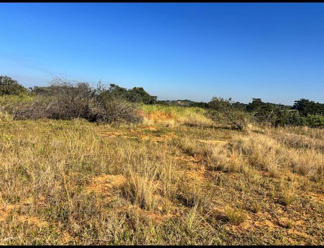 519M² VACANT LAND FOR SALE IN NEW SALT ROCK CITY
